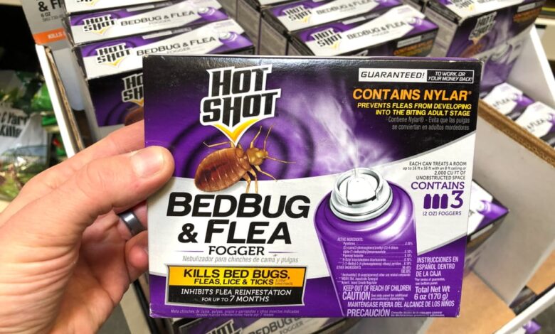 Still Have Fleas After Bombing