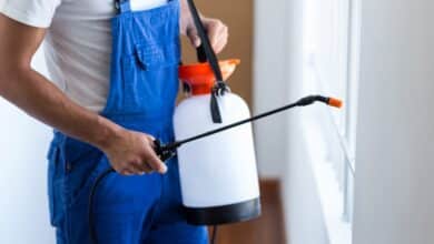 Who is Responsible for Pest Control on a Rental Property