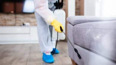 Flea Exterminator Cost