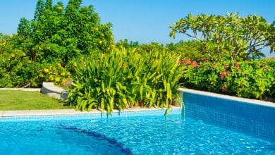 What To Plant Around Saltwater Pools