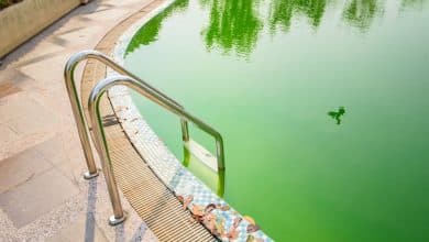 Is It Safe To Swim In Green Pool Water?