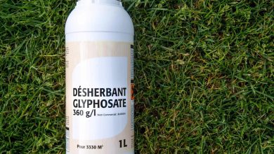 Combien de temps met le glyphosate pour agir ?