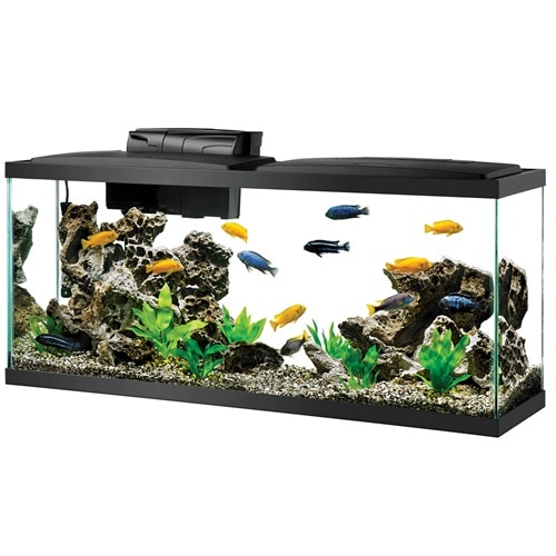 Kit d'aquarium Aqueon LED 55