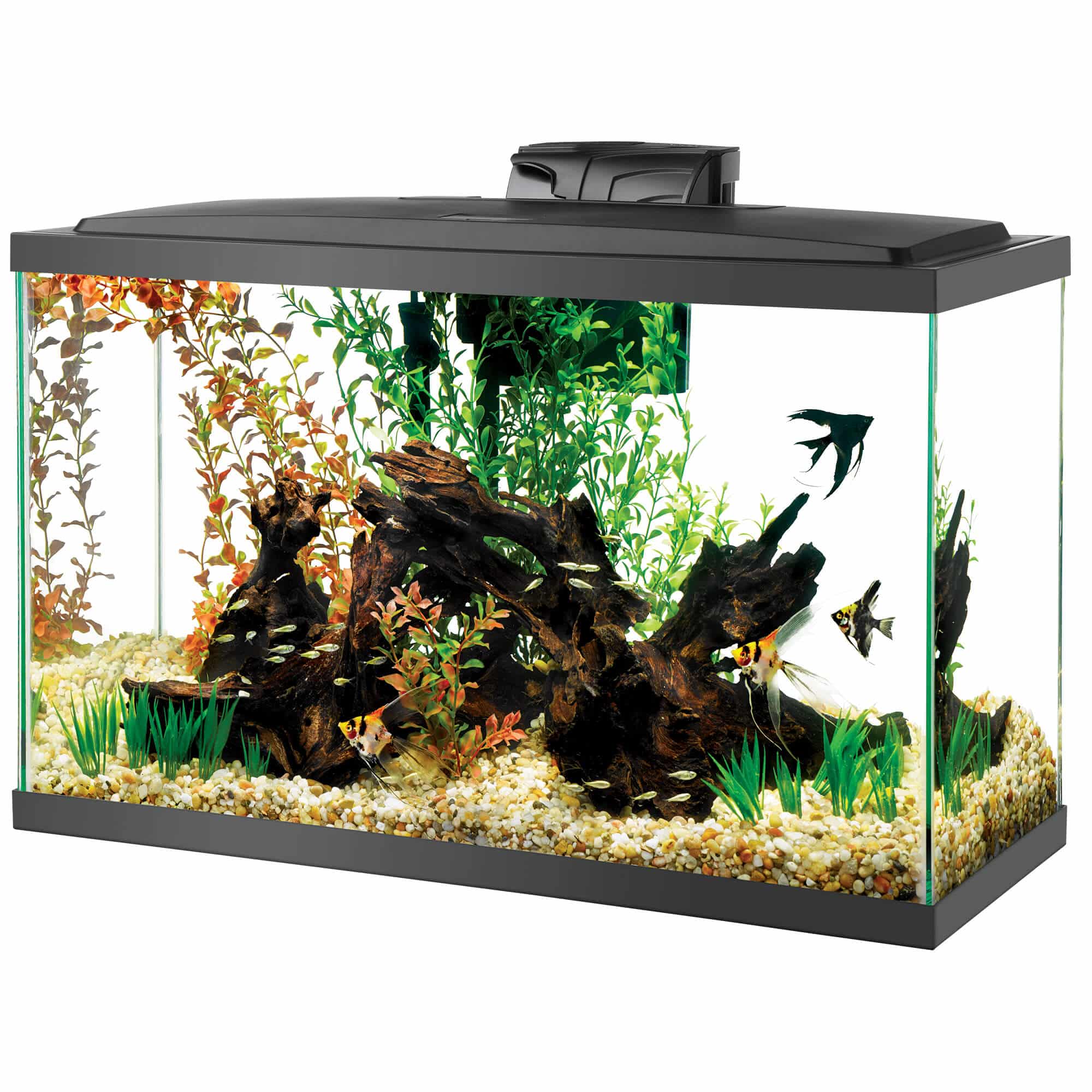Kit aquarium Aqueon LED 29