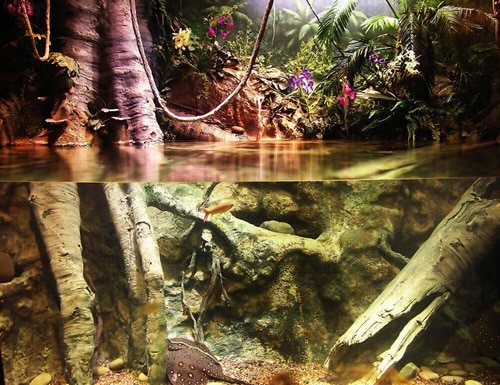 Comment choisir le meilleur éclairage pour l'aquarium - Aqueon