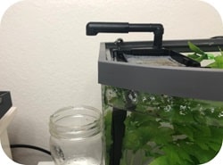 Journal du nouveau réservoir Aqueon Betta