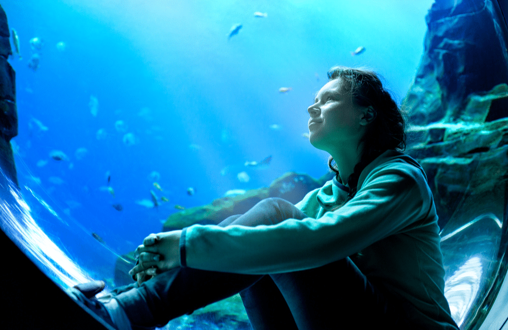 5 façons dont les poissons peuvent aider à réduire le stress 2