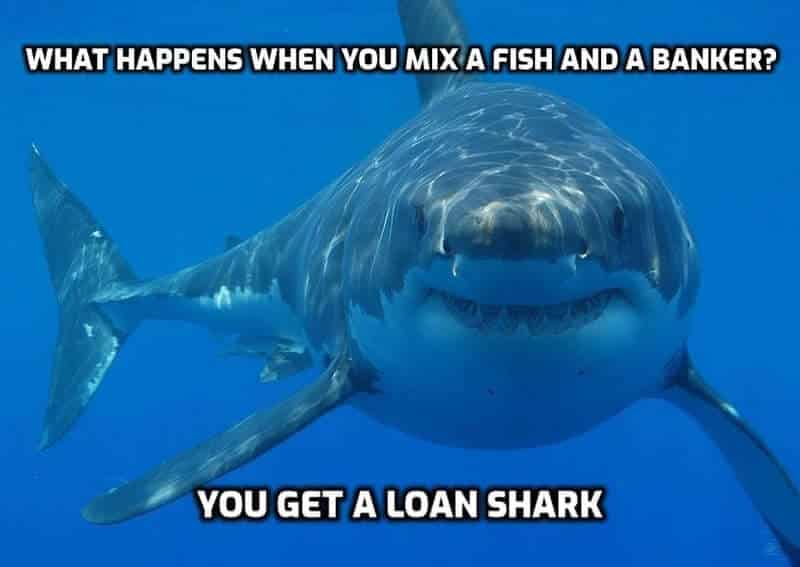 Un jeu de mots astucieux sur le requin et le poisson