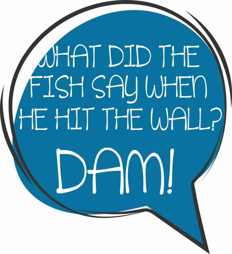 Qu'a dit le poisson lorsqu'il a heurté le mur ? Maudite soit-elle !