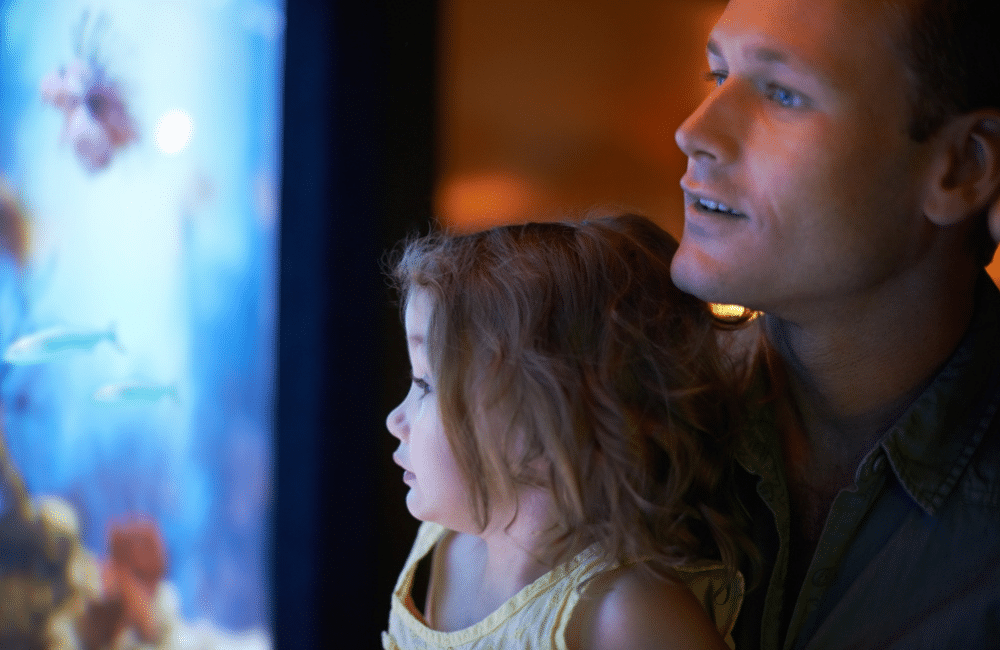 5 façons dont les poissons peuvent aider à réduire le stress 1