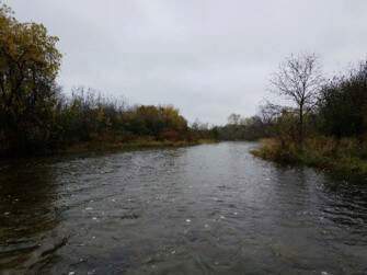 Aqueon Collecting and Keeping Native Fish (en anglais)