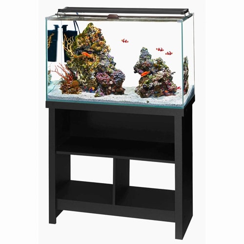 Aqueon Frameless Rectangle 30 Gallon Aquarium Live
