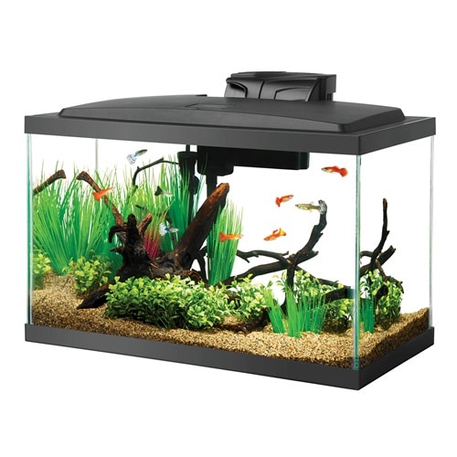 Kit aquarium Aqueon LED 10