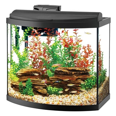 Aquarium Aqueon 26 LED Bow